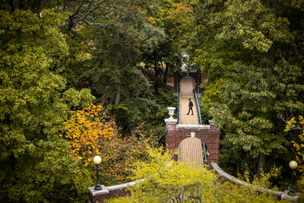 Overhead view through trees of Ravine Bridge also known as the Kissing Bridge