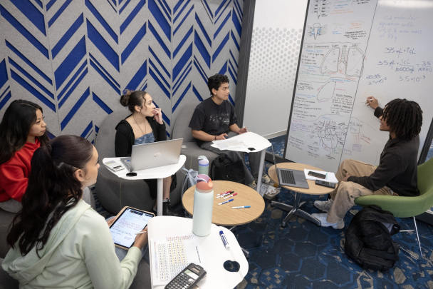 Meet your friends for a study session at Alexander Library