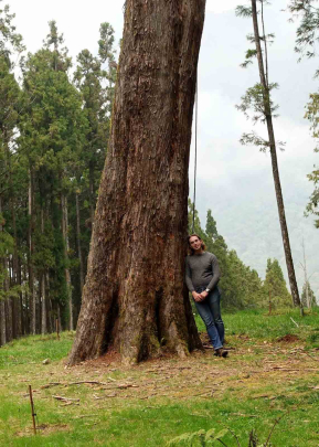 Evan Charles Keeton leans on a large tree at the Alishan National Forest Recreation Area in Taiwan.