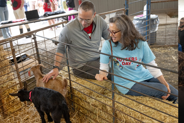 President Holloway pets a baby lamb at Cook Campus on Rutgers Day